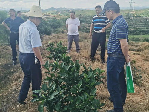 科技服務(wù)助力振興 第93批中國(guó)博士后科技服務(wù)團(tuán)在贛州寧都開(kāi)展技術(shù)服務(wù)紀(jì)實(shí)