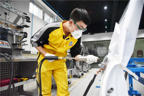 男孩子學(xué)技術(shù)服務(wù)類(lèi)專(zhuān)業(yè)的就業(yè)前景分析